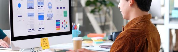 User Experience (UX) Design for Experts