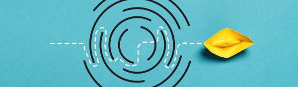 Problem-solving in a complex world