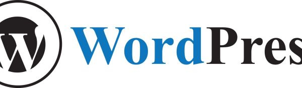  WordPress: Efficient Management of Your CMS
