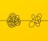 Design Thinking: Innovate and Evolve Your Product or Service