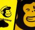 Effectively use Mailchimp for your newsletter marketing